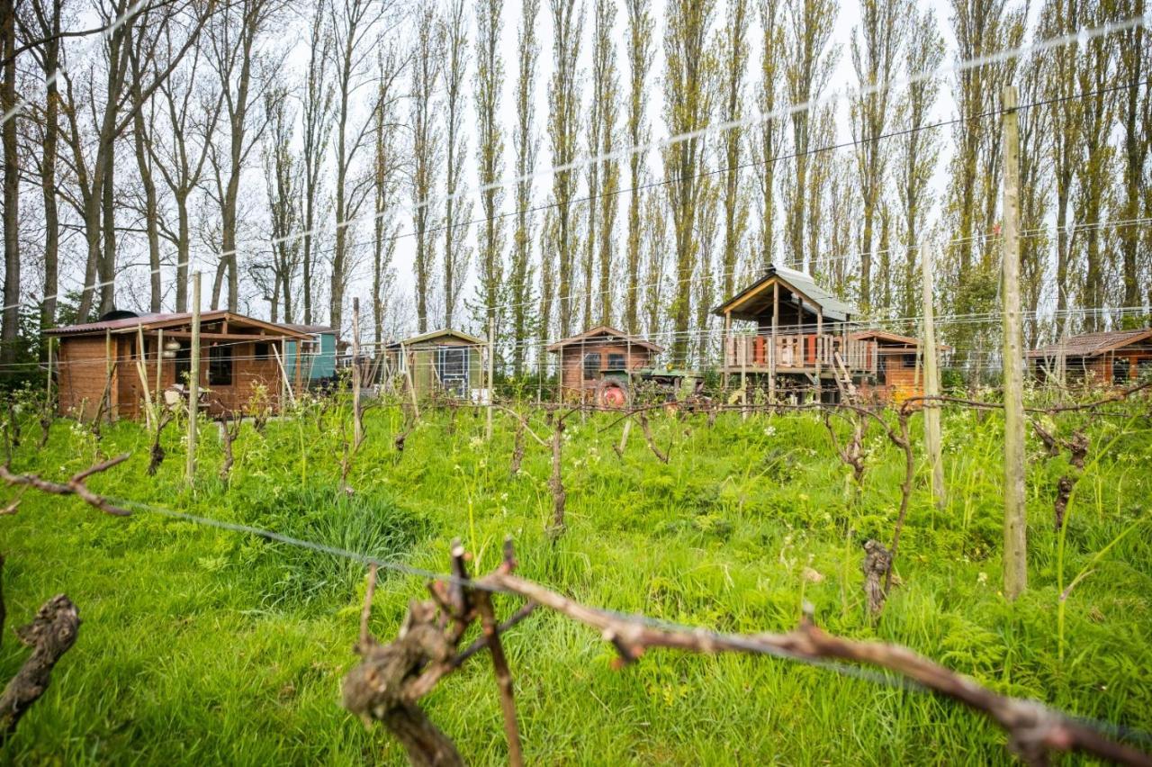 Wijndomein De Vier Ambachten -Overnachten In De Wijngaard Simonshaven エクステリア 写真