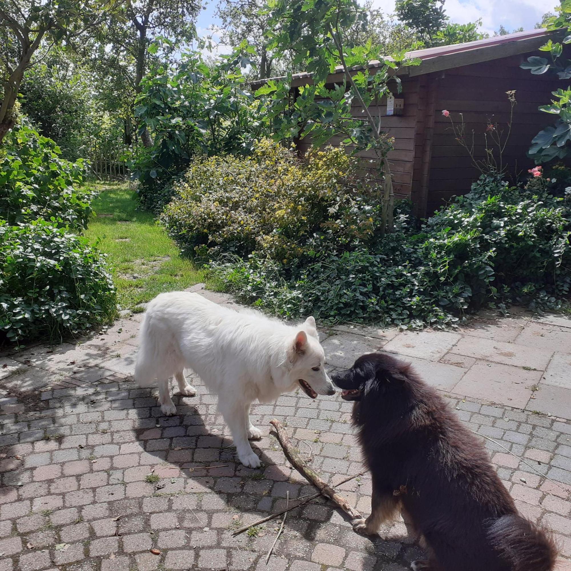 Wijndomein De Vier Ambachten -Overnachten In De Wijngaard Simonshaven エクステリア 写真