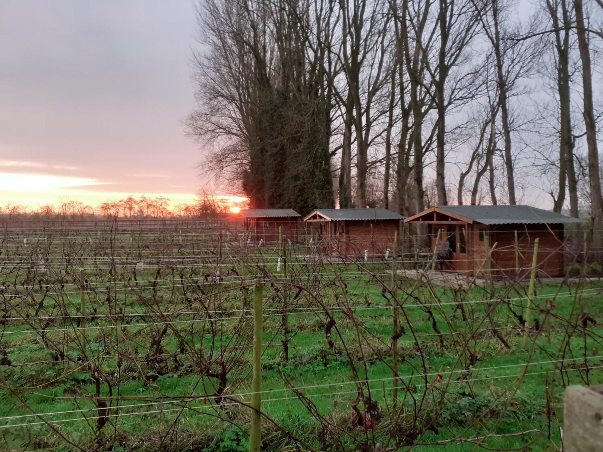 Wijndomein De Vier Ambachten -Overnachten In De Wijngaard Simonshaven エクステリア 写真