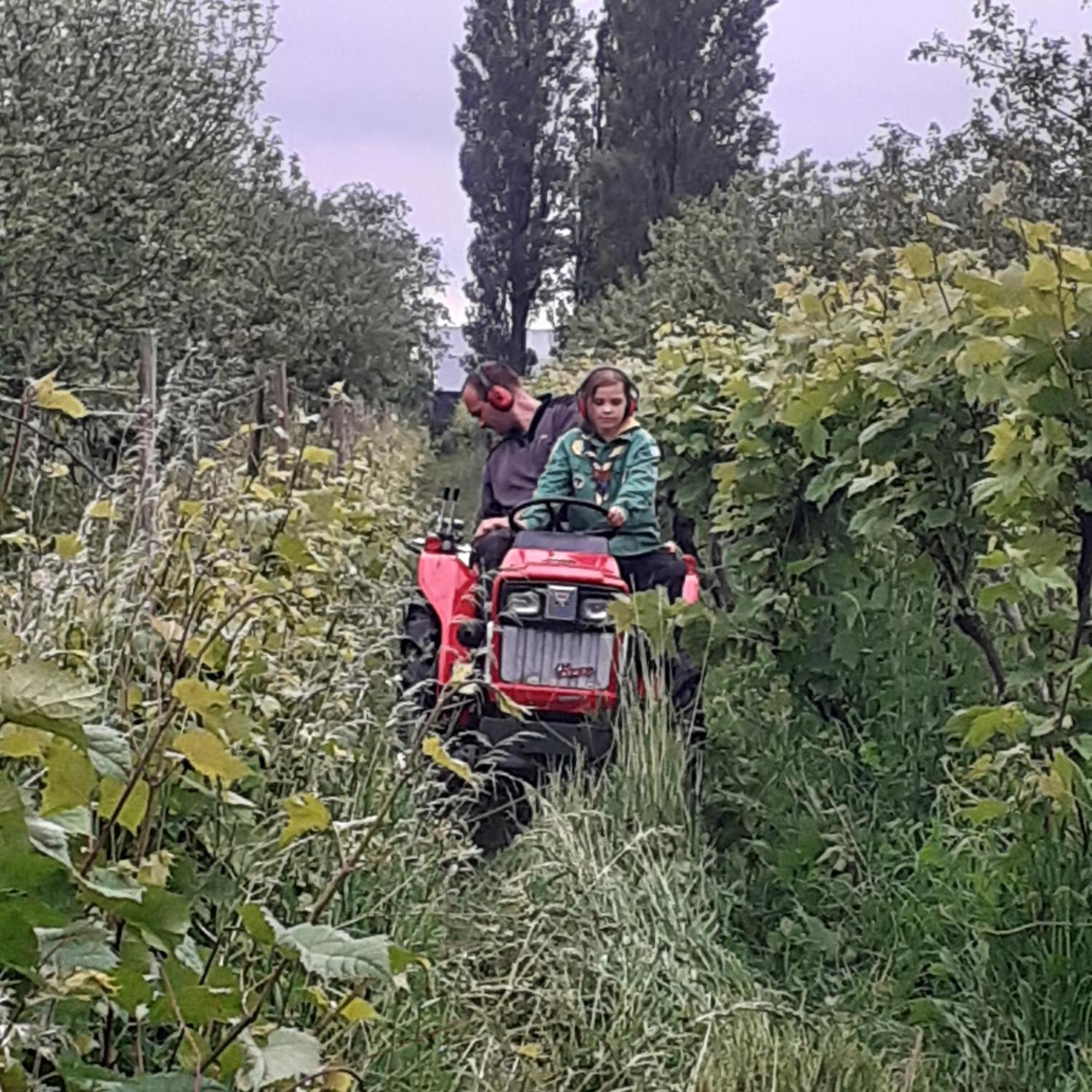 Wijndomein De Vier Ambachten -Overnachten In De Wijngaard Simonshaven エクステリア 写真